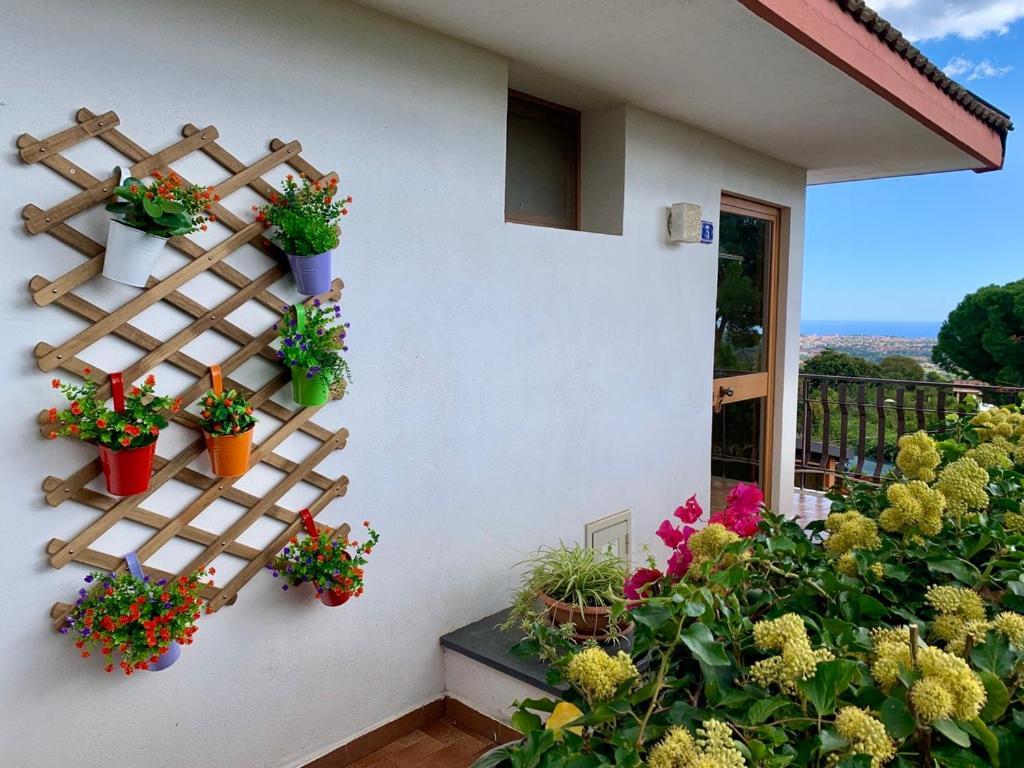 B&B Casa Di Antonio_Etna Vacanze Trecastagni Bagian luar foto